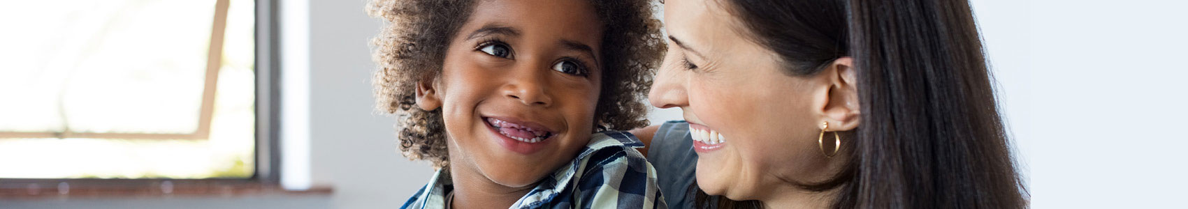 Safe Families for Children Virtual Information Meeting banner