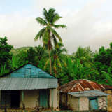two small Haitian huts framed by palm trees